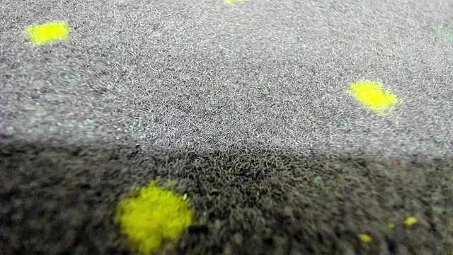 AishaRouhi 라이브 XXX 채팅