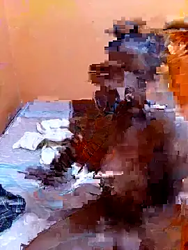 DaisyHarperrn Live XXX chat