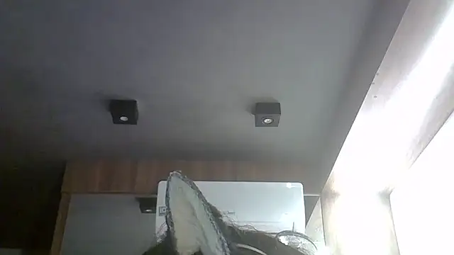 Show de webcam de SkinnyKitten