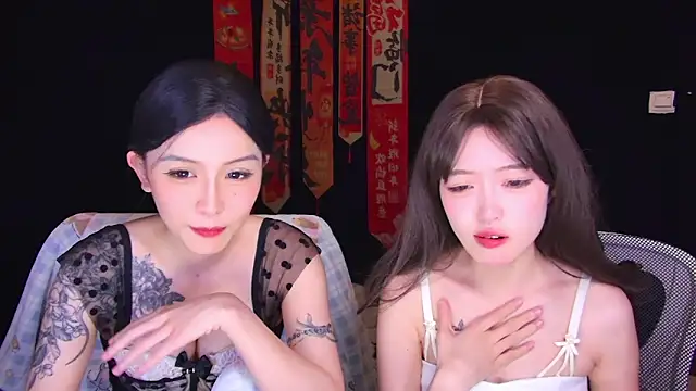 Wik-yibao Show Webcam