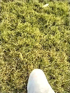 jellydicks – webcam-show