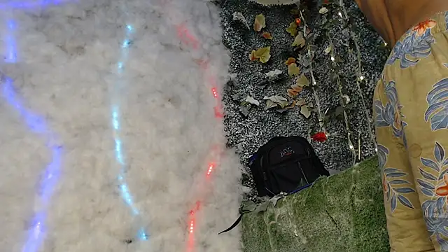 Show de Walkers05 na webcam