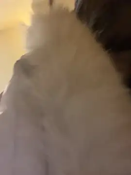 littleqiu 现场XXX聊天