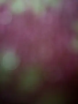 Nandani-758's Webcam Show