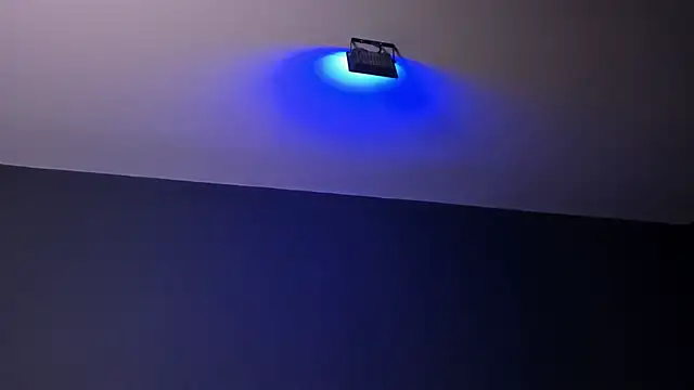 Amy_whittee: απευθείας συνομιλία ΧΧΧ