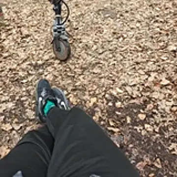 LimaLi88 Obrolan Langsung XXX