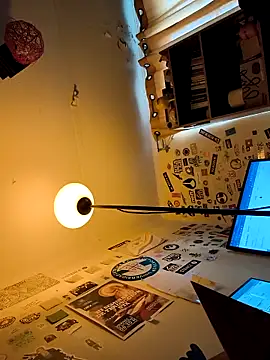 MisterMiester45de17cmn Webbikameraesitys