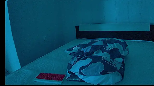 Show webcam de Snow-Bars77