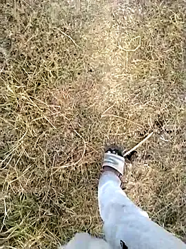 jellydicks 웹캠 쇼