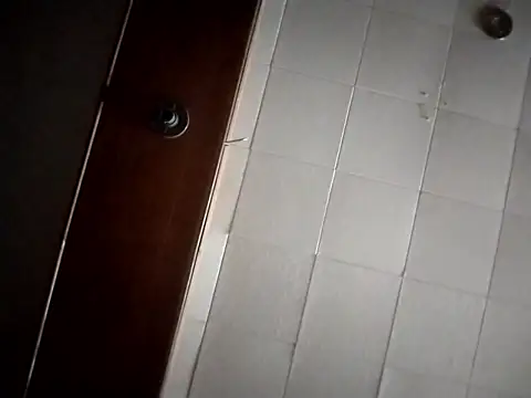 AceticPinscher Show in webcam