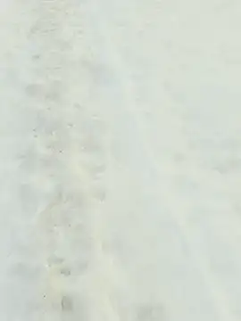 _uncle_Mitya-43_'s Webcam Show