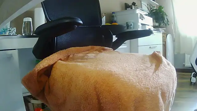 Show de suedel65 na webcam