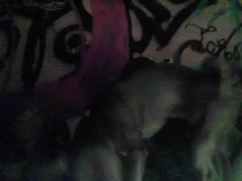 toropf লাইভ XXX চ্যাট