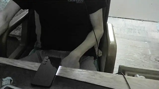 Show webcam de FiSTALiTY