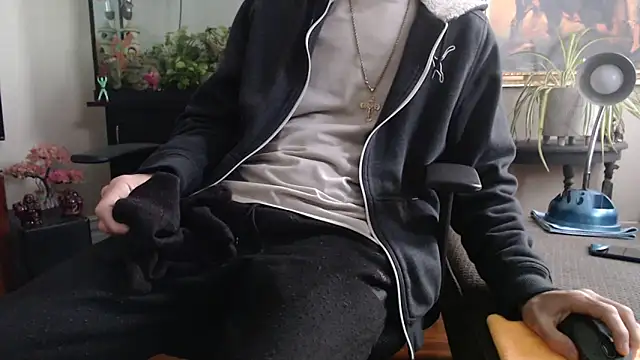 Show webcam de EspanolVato