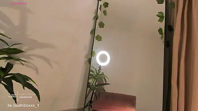 sushiboxxx webkamerás műsora