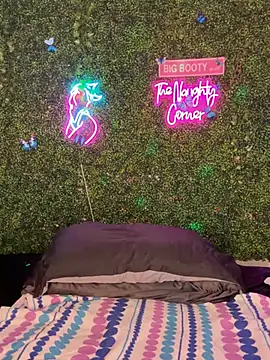 RenaThickAss: διαδικτυακό σόου στην κάμερα