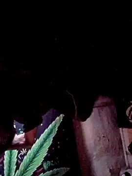 ySqmbVanbe Adlı Modelin Web Kamerası Şovu