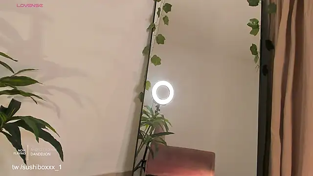 sushiboxxx Chat XXX live