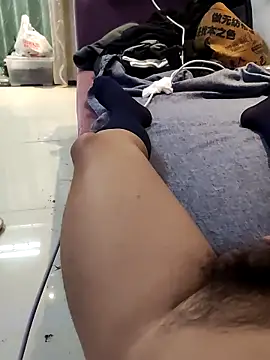 Show webcam de guozuo