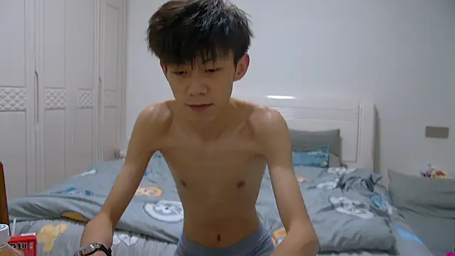 paofu-001n Webbikameraesitys