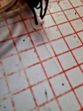 Chat +18 de Samy_Hoops ao vivo