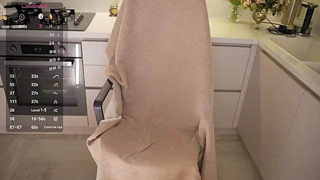 Вебкам-шоу Vassiilisa