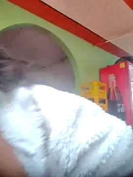 You-sexy-starr's Live XXX Chat