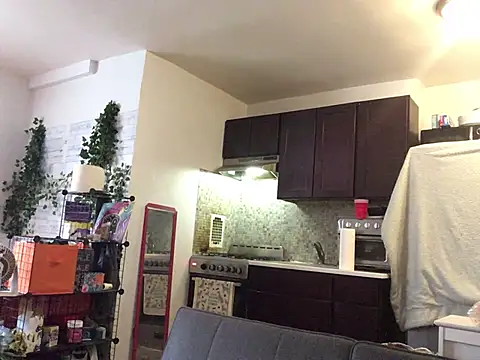 littyleesh1 现场XXX聊天