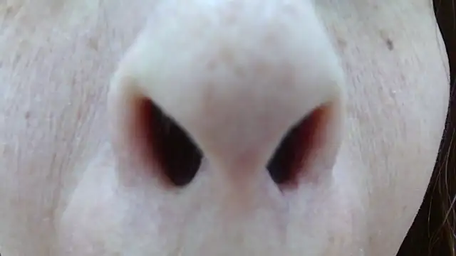 แชท XXX สดของ Lizeth_Bels