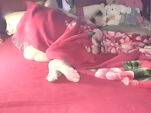 Show webcam de NIANSED