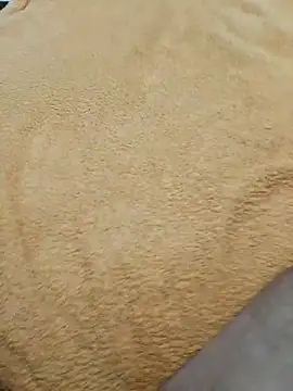 INDRAGOSTITUL Obrolan Langsung XXX