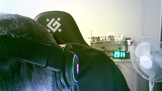 Show Webcam de SirAbuser