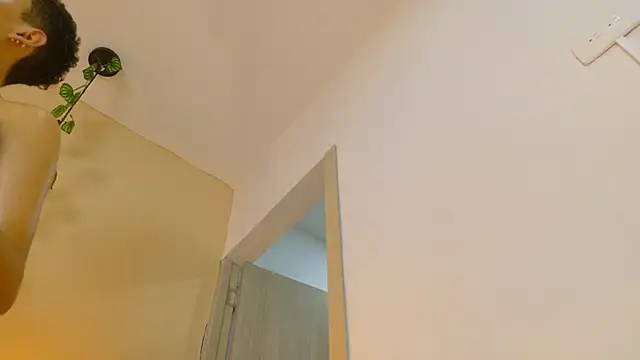 Xavier_Fox___'s Live XXX Chat