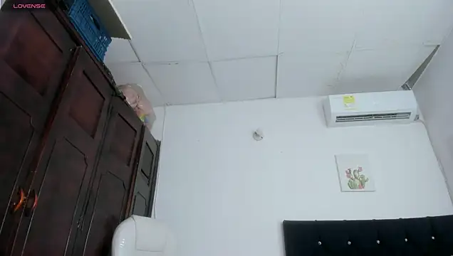 barbie_ds Webcam-Show