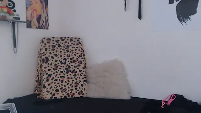 Chat +18 de Perola__May ao vivo