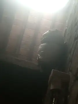 Show de Ankit_couple2525 na webcam