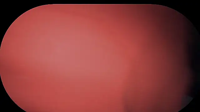 Sembang XXX Secara Langsung HeyyImHarlowe