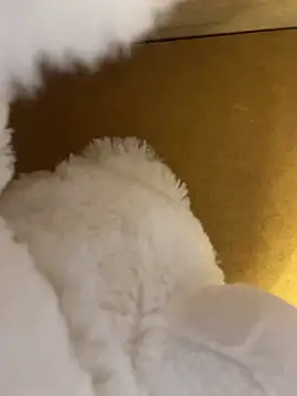 Sabrina_vieiran Live XXX chat