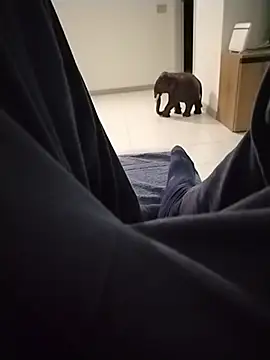 Meriozoro Show Webcam