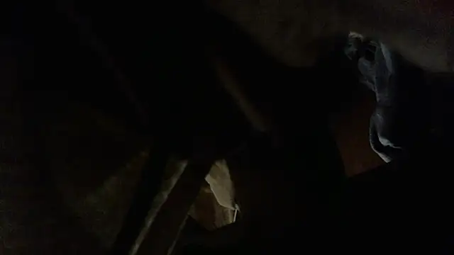 cannonball765309 Chat XXX in diretta