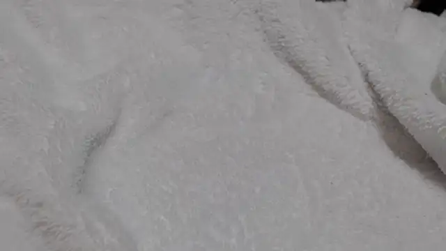 Show de test1284 na webcam