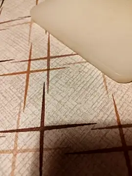 Show webcam de Hgay6935