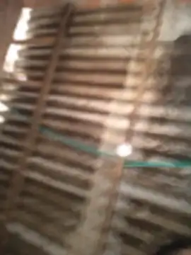 Cofisexy – Kamerová šou