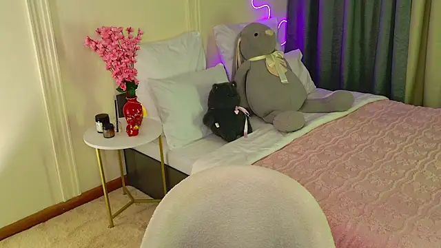 Chat +18 de plugmyHDMI ao vivo