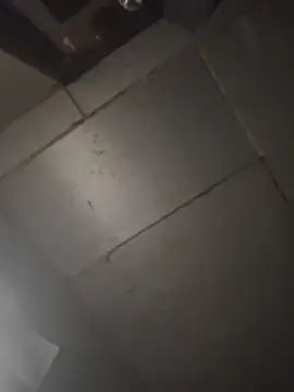 Boysex227 – Naživo XXX chat