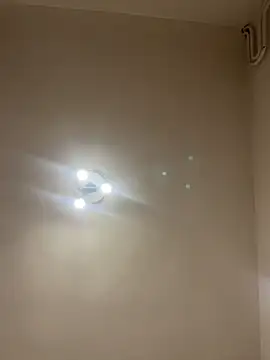 Sembang XXX Secara Langsung SashaLuss_