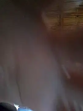 Ansiasex webkamerás műsora