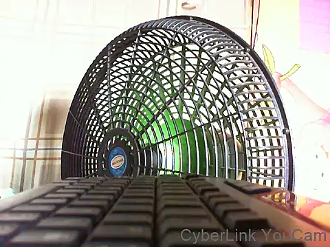 vannitty001's Live XXX Chat