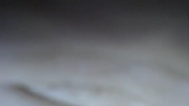 swt_shadow's Live XXX Chat